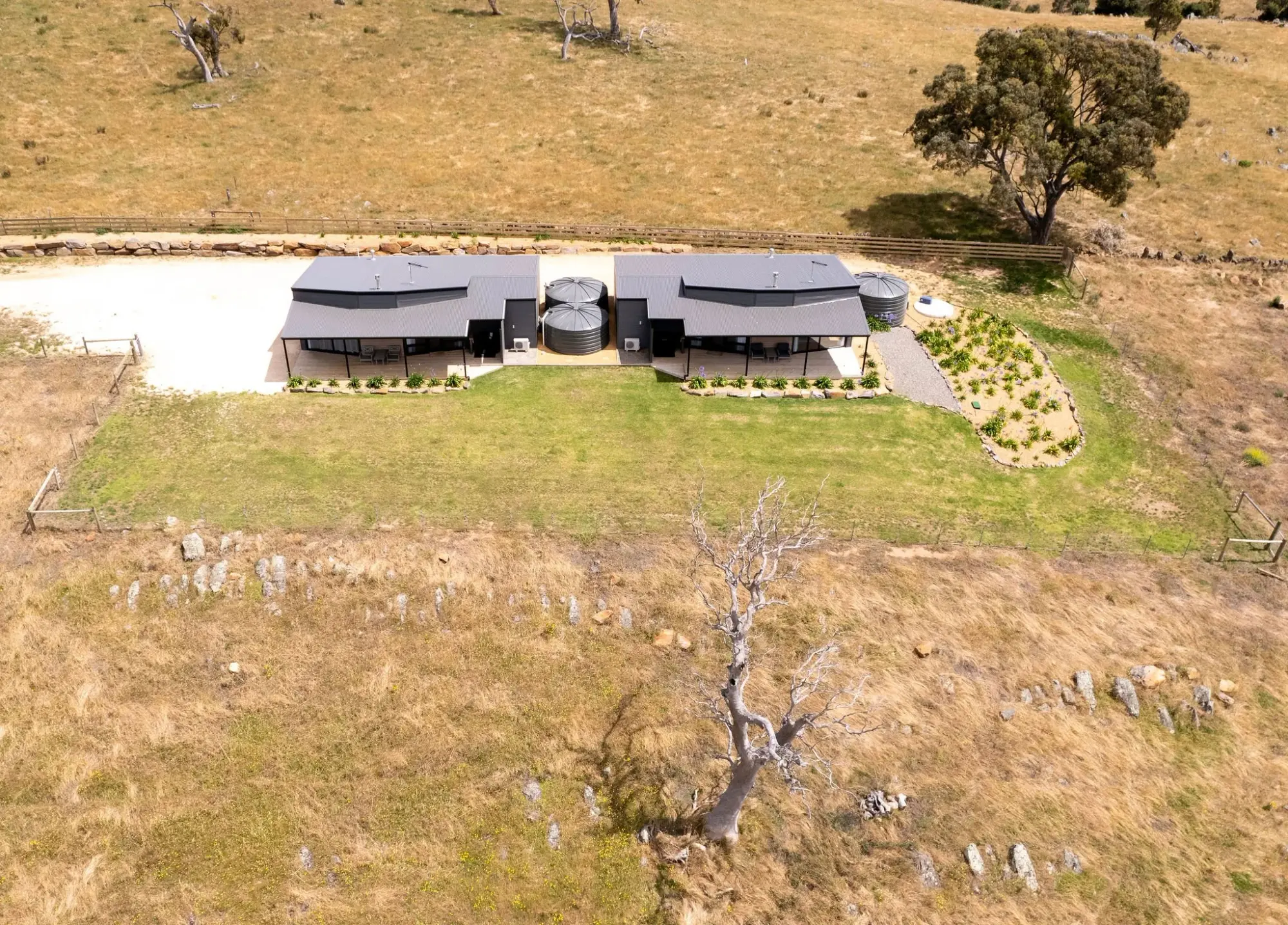 The two villas from directly overhead: a mirrored pair either side of a shared central core, set in open paddock with a dead gum below them.